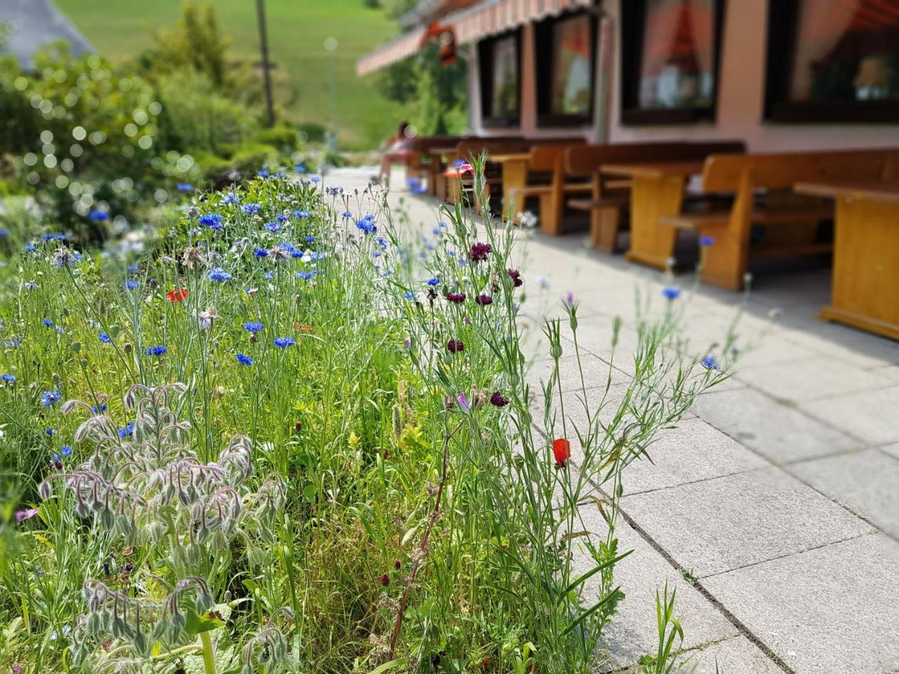 Hotel Landhaus Sonnenhof Todtnau Kültér fotó